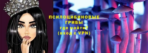 прущие грибы Тобольск