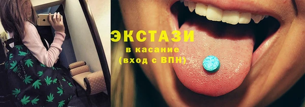 дмт Тайга