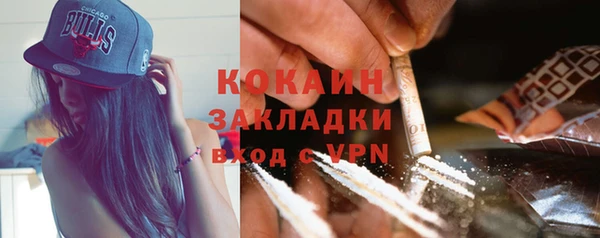 дмт Тайга