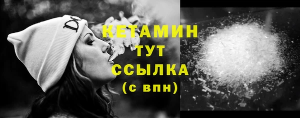 дмт Тайга