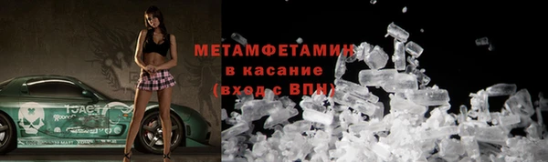 дмт Тайга