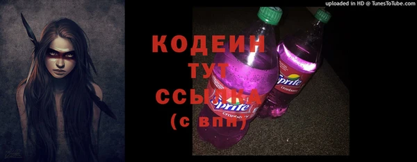 дурь Тавда