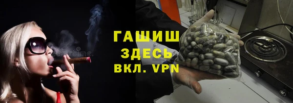 дмт Тайга