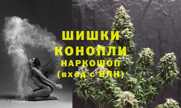 дурь Тавда