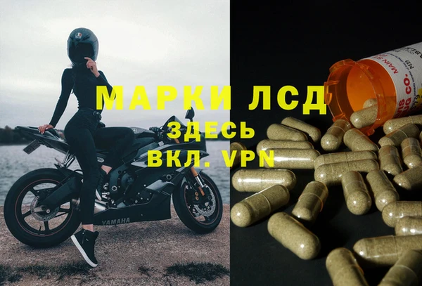 дурь Тавда
