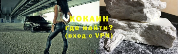 дмт Тайга