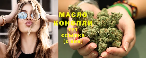 дмт Тайга