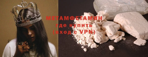 дмт Тайга