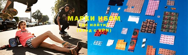 прущие грибы Тобольск