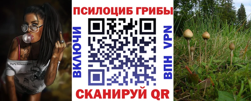 Купить  Ишимбай  Псилоцибиновые грибы Cubensis 