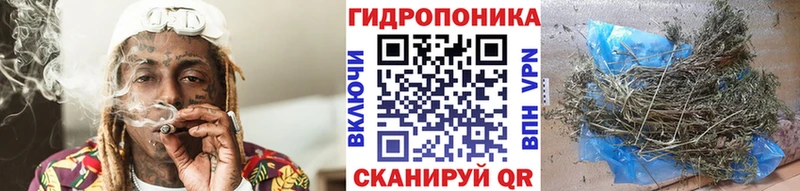 Купить где  Ишимбай  Бошки Шишки сатива 